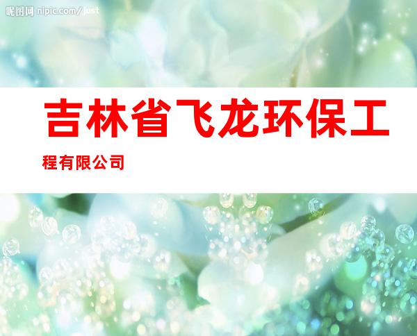 吉林省飞龙环保工程有限公司